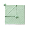 Wilson & Frenchy - Mint Green Knitted Pointelle Blanket